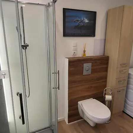 Ferienwohnung Schwarzach Schwarzach